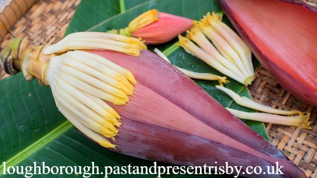 7 Manfaat Jantung Pisang untuk Kesehatan