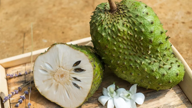 10 Manfaat Buah Sirsak untuk Kesehatan Tubuh